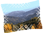 rez27.jpg